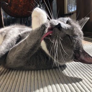 Meet your Posher, Dania